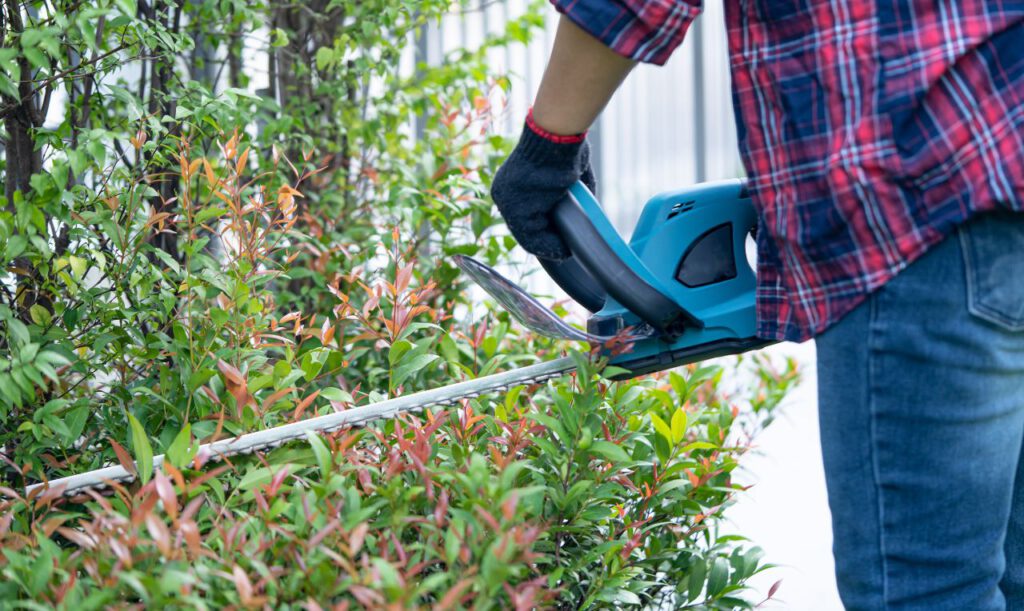 Ein Hausmeister, der eine Hecke mit einer elektrischen Kettensäge schneidet.
